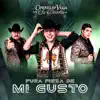 Pura Pieza de Mi Gusto album lyrics, reviews, download