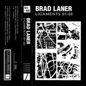 Brad Laner - Ligaments 01A