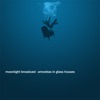 Amoebas in Glass Houses - Single