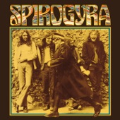 Spirogyra - Capitain's Log