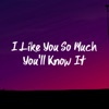 I Like You So Much You'll Know It - Single