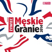 Męskie granie 2014 (Live) artwork