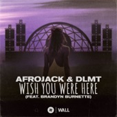 Wish You Were Here (feat. Brandyn Burnette) [Extended Mix] artwork