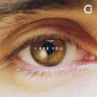 Charlie Simpson - I See You artwork