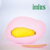 Indus