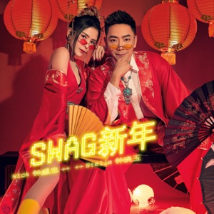 Nick Chung (鐘盛忠) & Stella Chung (鍾曉玉) - Gong Xi Gong Xi (恭喜恭喜) - 排舞 音乐