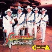 Cardenales De Nuevo León - Espejo De Cantina