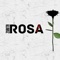 Rosa Negra - Zurita lyrics