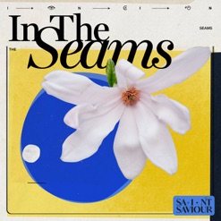 IN THE SEAMS cover art