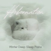 Hibernation - Winter Deep Sleep Piano artwork