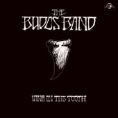 The Budos Band - Silver Stallion