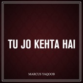 Tu Jo Kehta Hai artwork