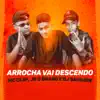 Arrocha Vai Descendo - Single album lyrics, reviews, download