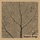 Vespero - Red Pitfalls