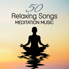 50 Relaxing Songs Meditation Music: Best Pieces of New Age for Mental Health, Reduce Stress, Yoga Studio and Total Relax for Your Mind Body by Yoga Meditation Music Set album reviews, ratings, credits