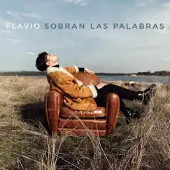 Sobran las palabras - Single by Flavio album reviews, ratings, credits