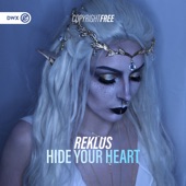 Hide Your Heart (Extended Mix) artwork