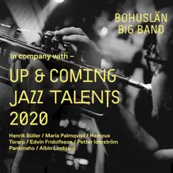 Up & Coming Jazz Talents by Bohuslän Big Band album reviews, ratings, credits