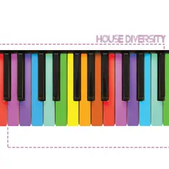 House Diversity by Various Artists album reviews, ratings, credits