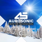 Winter Sessions (DJ Mix) artwork