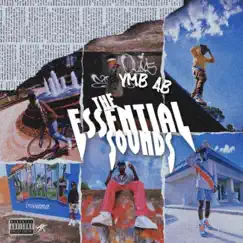 The Essential Sounds by YMB AB album reviews, ratings, credits