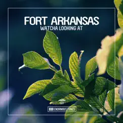 Watcha Looking at - EP by Fort Arkansas album reviews, ratings, credits