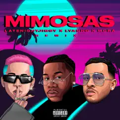 Mimosas (Remix) - Single by LATENIGHTJIGGY, Lyanno & Mora album reviews, ratings, credits