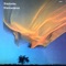 Distant Voices - Shadowfax lyrics