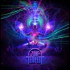 Zone Tempest - Industrial Perception