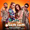 Hum Tum - Single album lyrics, reviews, download