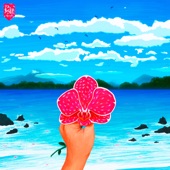 Orchid Oceans - EP artwork