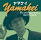 ヤマケイ yamakei ジャケット写真