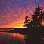Dawn
