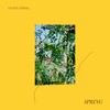 Spring - Single