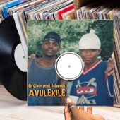 Avulekile (feat. Ishmael) artwork