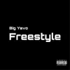 Freestyle song lyrics