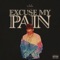 Excuse My Pain artwork