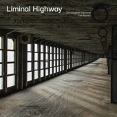 Liminal Highway: II. Between Consciousness and Sleep artwork