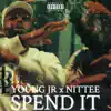 Spend It (feat. Nittee) - Single album lyrics, reviews, download