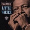 The Essential Little Walter, 1993
