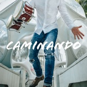 Caminando (feat. Joaquín Sosa) artwork