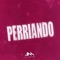Perriando (Remix) artwork