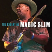 Magic Slim & The Teardrops - Down In Virginia