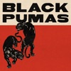 Colors by Black Pumas iTunes Track 2