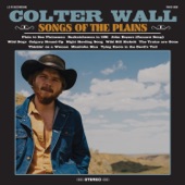Colter Wall - Tying Knots in the Devil's Tail