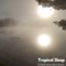 Moonview - Dormir Profundo Music lyrics