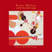 Peter Mulvey with SistaStrings - You Are The Only One