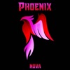 Phoenix - Single