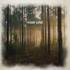 Seth Austin - Your Love