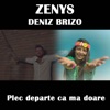 Plec Departe Ca Ma Doare (feat. Deniz Brizo) - Single